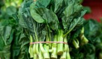 How to Grow Chinese Broccoli