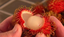 How to Grow Rambutan Trees