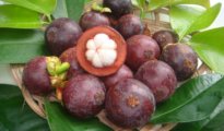 How to Grow Mangosteen Trees