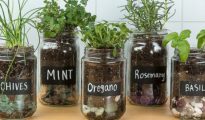 DIY Mason Jar Herb Garden