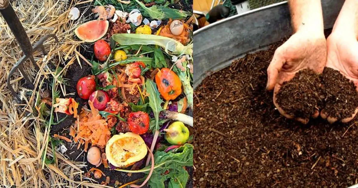 How to Compost at Home