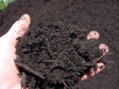 How to Prepare Soil for Garden