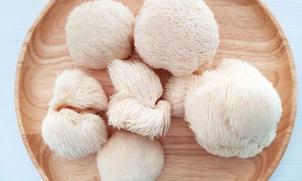 How to Grow Lion’s Mane Mushrooms