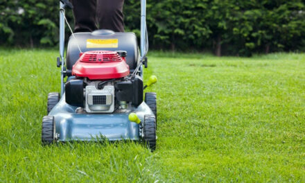 Best Time of Day to Mow the Lawn