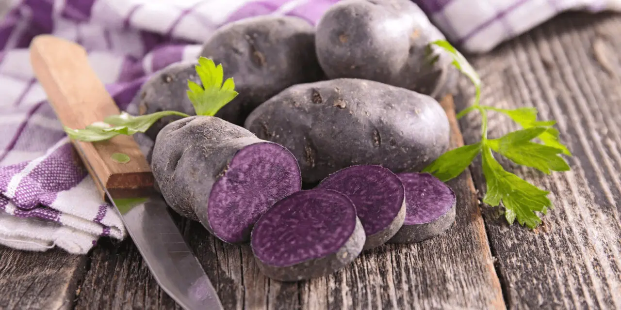 A Comprehensive Guide on How to Grow Russian Blue Potatoes