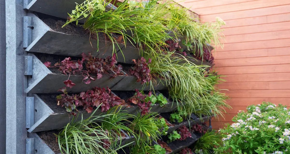 Vertical Gardening: Innovative Ideas for Urban Spaces